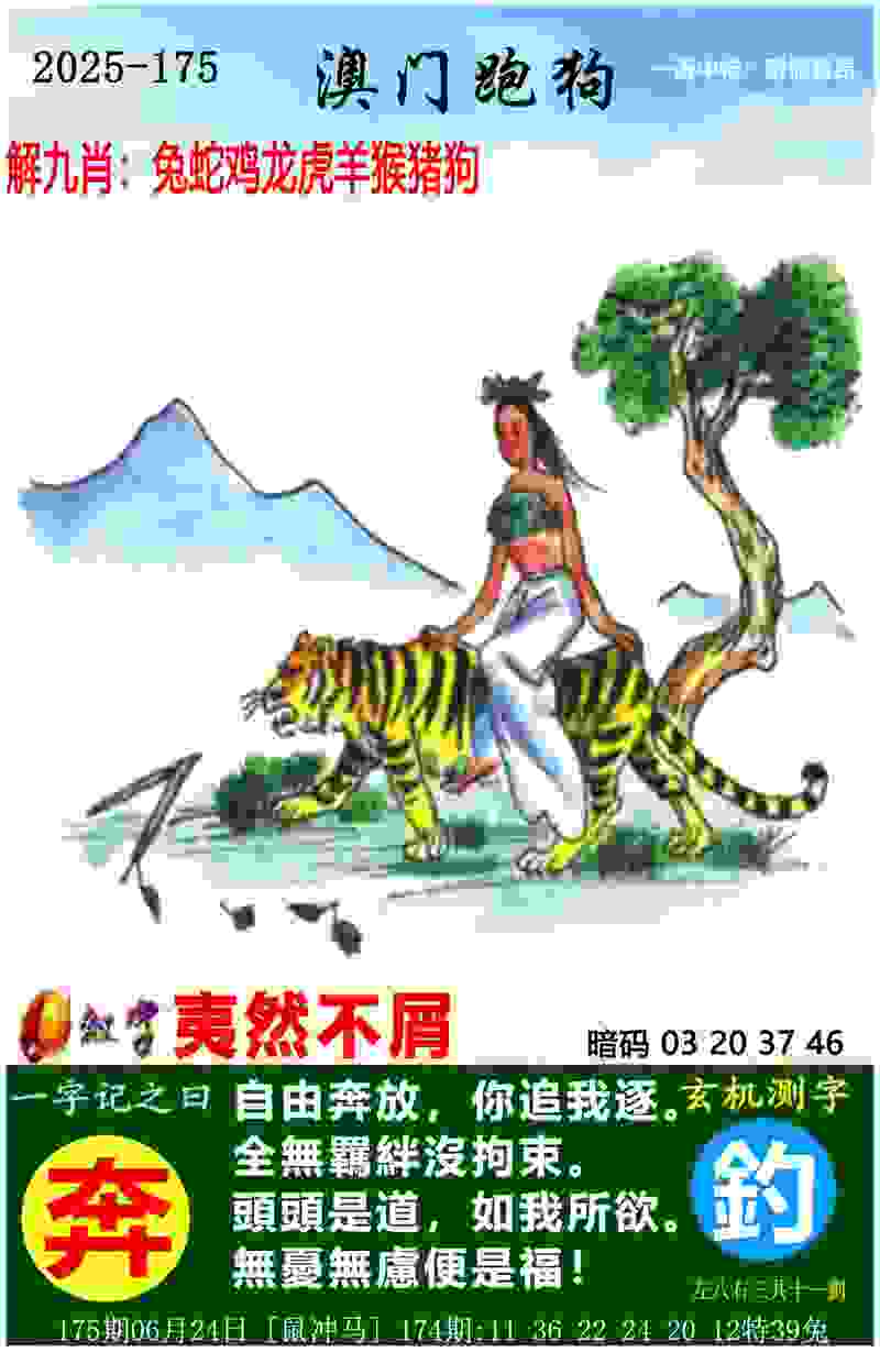 >2025年全部开奖记录